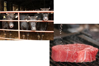 石見和牛肉