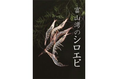 富山湾のシロエビ