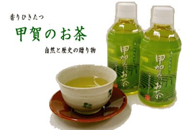 甲賀のお茶