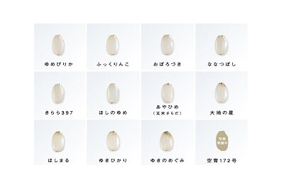 北海道米