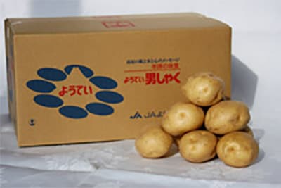 ようてい男しゃく