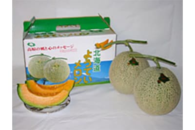 ようていメロン