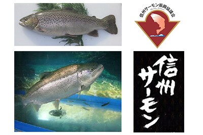 信州サーモン