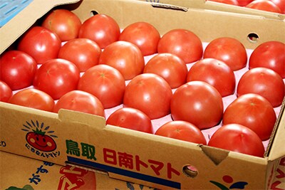 日南トマト