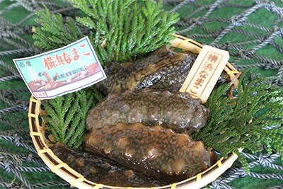 横浜なまこ