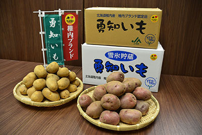 勇知いも