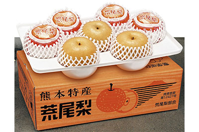 荒尾梨