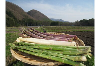 会津田島アスパラ