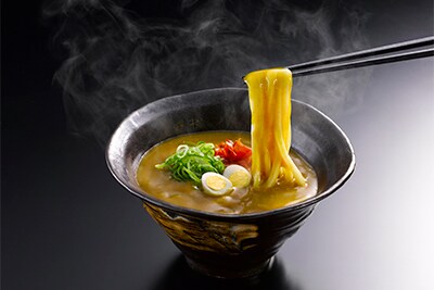 豊橋カレーうどん