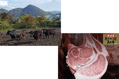 とうや湖和牛