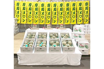 摩周メロン