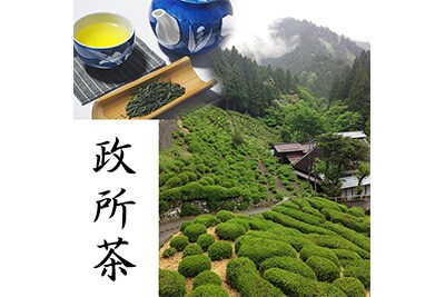 政所茶