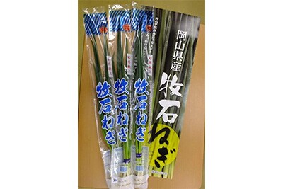 牧石ねぎ