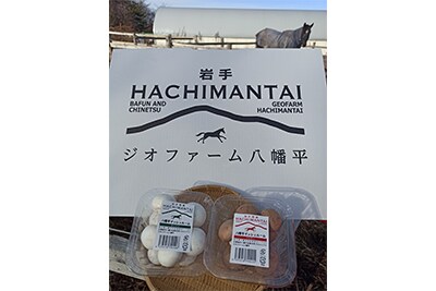 八幡平マッシュルーム