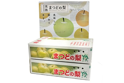 まつどの梨