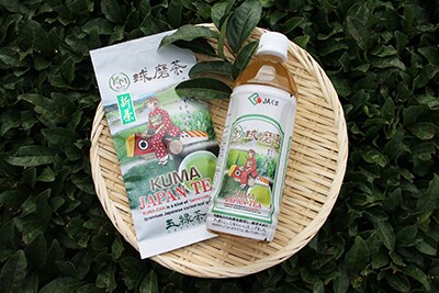 球磨茶
