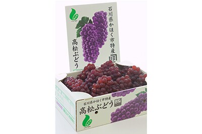 高松ぶどう