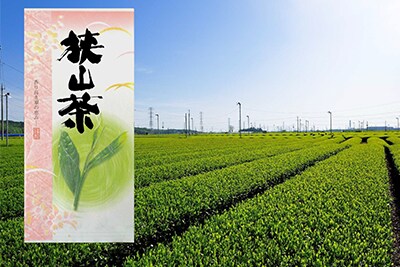 狭山茶
