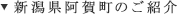 新潟県阿賀町のご紹介