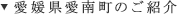 愛媛県愛南町のご紹介