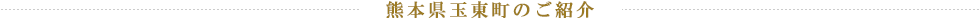 熊本県玉東町のご紹介