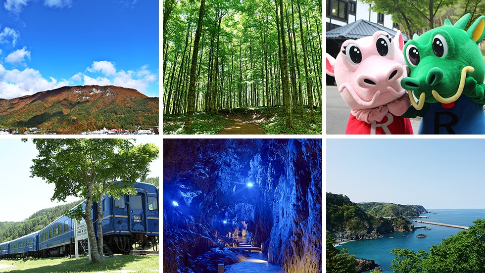 岩手県岩泉町の地域・お礼品情報 | ふるさと納税サイト【さとふる】