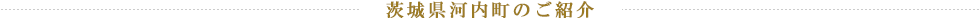 茨城県河内町のご紹介
