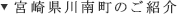 宮崎県川南町のご紹介
