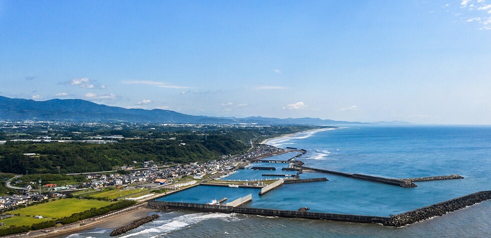 宮崎県川南町の地域・お礼品情報 | ふるさと納税サイト【さとふる】