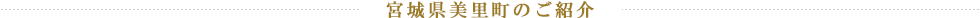 宮城県美里町のご紹介