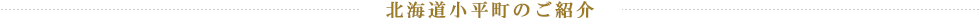 北海道小平町のご紹介