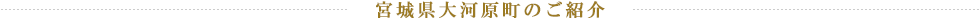 宮城県大河原町のご紹介