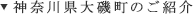 神奈川県大磯町のご紹介