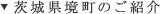 茨城県境町のご紹介