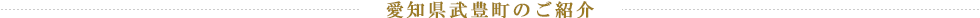 愛知県武豊町のご紹介