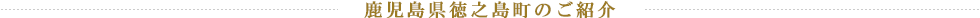 鹿児島県徳之島町のご紹介