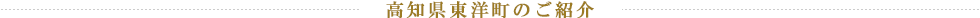 高知県東洋町のご紹介