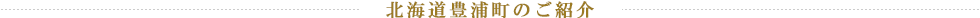 北海道豊浦町のご紹介