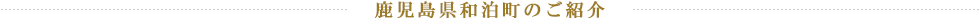 鹿児島県和泊町のご紹介