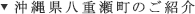 沖縄県八重瀬町のご紹介