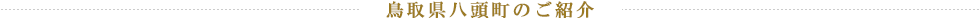 鳥取県八頭町のご紹介