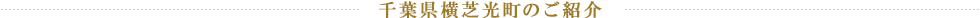 千葉県横芝光町のご紹介
