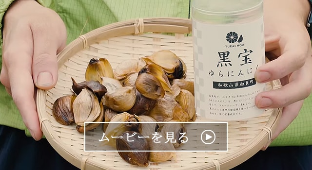 和歌山県由良町の地域・お礼品情報 | ふるさと納税サイト【さと