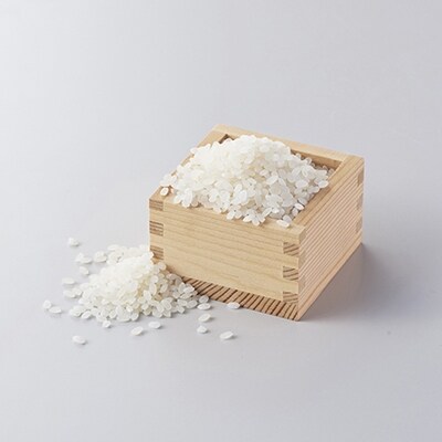 美濃加茂産のお米(10kg)