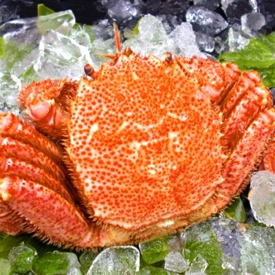 ふるさと納税 還元率 特産品 人気 ランキング