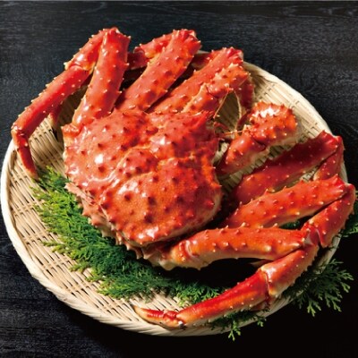 オホーツク産タラバガニ姿【2.2kg~】