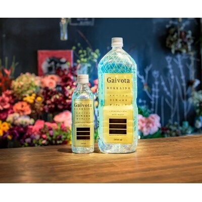 北のハイグレード食品認定の美味しい水「GaiVota」1箱(500ml×24本)+1箱(2L×6本)
