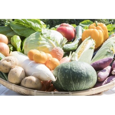 せいよ旬の野菜 果物 宇和米5kg詰合せセット お礼品詳細 ふるさと納税なら さとふる