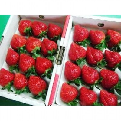 あまおう(いちご)400g×2パック(平成30年2月~3月発送) 【形と大きさの揃ったお品です】