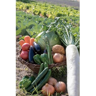 土佐の新鮮野菜!お試しにどうぞ♪ sat159